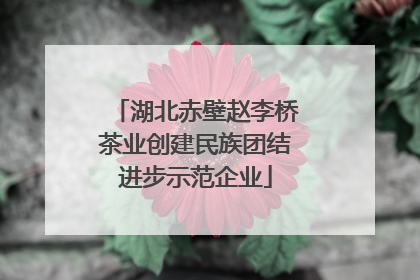 湖北赤壁赵李桥茶业创建民族团结进步示范企业